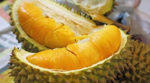 查干乌勒吃瓜,一场别开生面的吃瓜盛宴