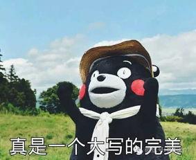 我要看带你吃瓜不能吃