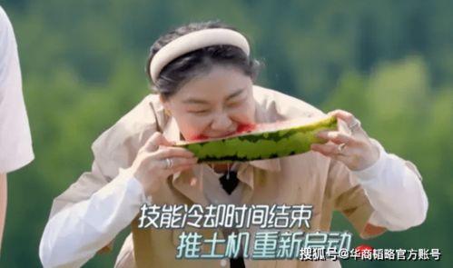 很任性吃瓜,揭秘娱乐圈幕后真相