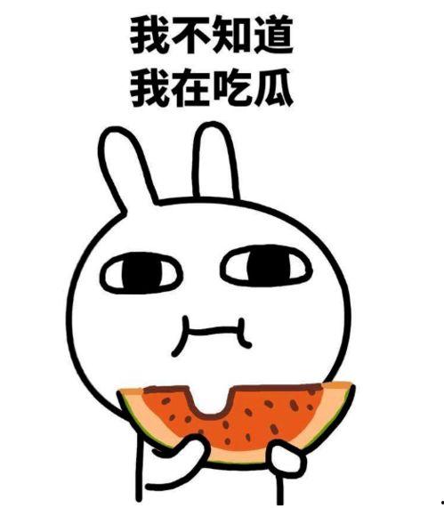 预测吃瓜,吃瓜群众的美食盛宴