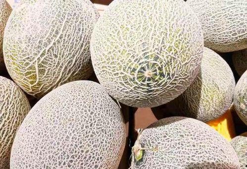 梦到吃蜜瓜不甜,揭秘梦到吃蜜瓜不甜的奥秘