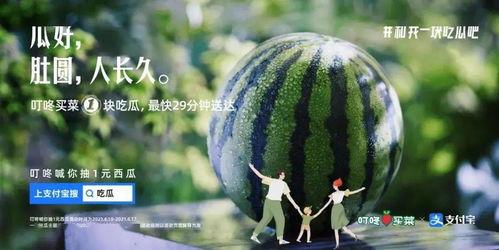 花钱吃瓜文案,揭秘花钱吃瓜的趣味与魅力