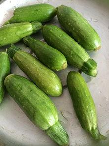 常吃小瓜好吗,健康生活新选择