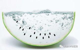 吃瓜玩瓜赛瓜画瓜,吃瓜玩瓜赛瓜画瓜，尽享夏日清凉