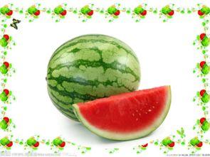 在小说里吃瓜,一场小说中的吃瓜盛宴