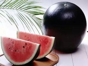 在小说里吃瓜,一场小说中的吃瓜盛宴