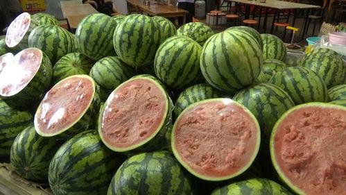 紫豆瓣自由吃瓜