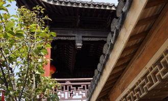 吃瓜水仙道院,揭秘吃瓜水仙道院的神秘面纱