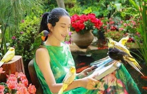 吃瓜在仙境小说,奇幻之旅的甜蜜冒险