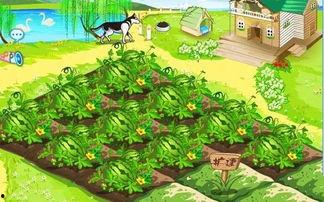 吃瓜在仙境小说,奇幻之旅的甜蜜冒险