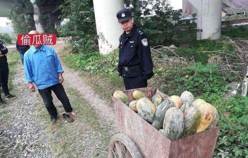 近期热门吃瓜事件魏县,揭秘近期热门吃瓜事件背后的真相