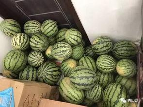 火漆吃瓜群,揭秘网络社交圈的趣味与争议