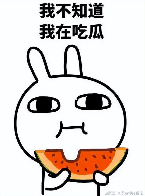 吃瓜老猪,揭秘娱乐圈背后的那些事儿