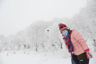 雪地媛吃瓜在线