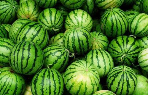 夏天吃四瓜都啥瓜