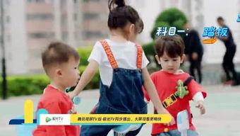 吃瓜板凳快跑,揭秘娱乐圈背后的秘密与真相