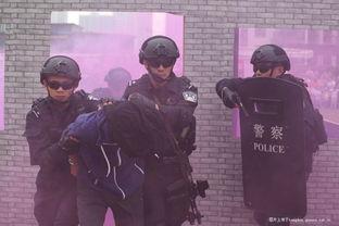 吃瓜进警局,一场意外的“瓜田奇遇”