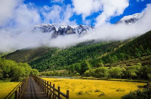 雪山上吃瓜,冰封世界里的夏日瓜香之旅