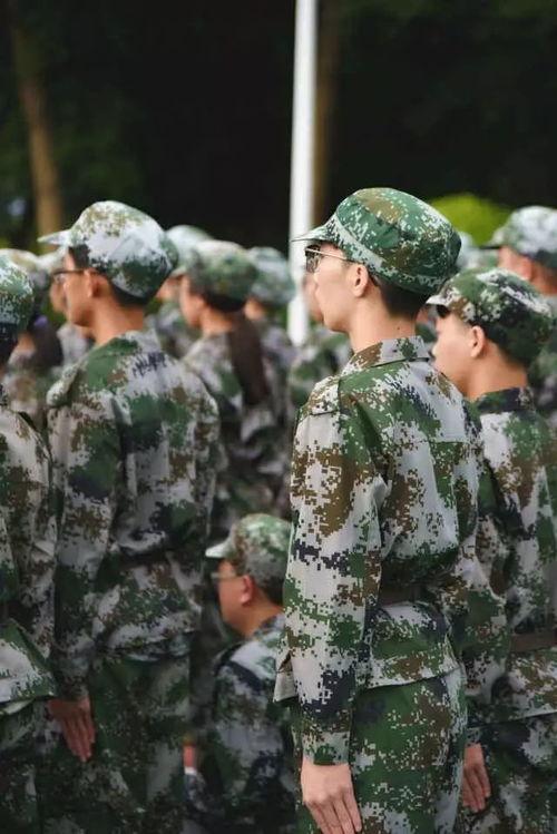 看军训吃瓜视频,青春汗水与欢笑瞬间