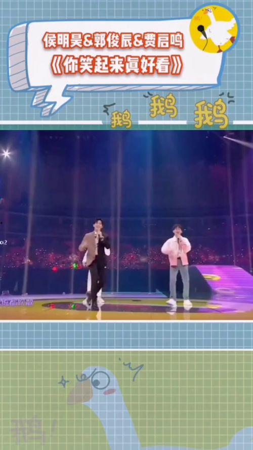 综艺吃瓜鹅创作,揭秘娱乐圈幕后真相