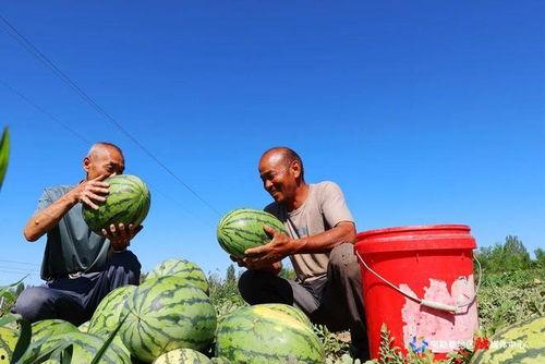 吃瓜福音,揭秘娱乐圈背后的真相与趣味