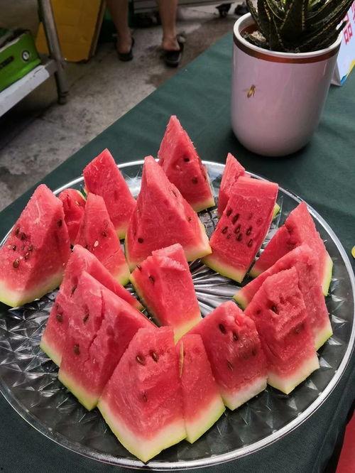 比赛吃冻瓜,比赛中的冻瓜狂欢