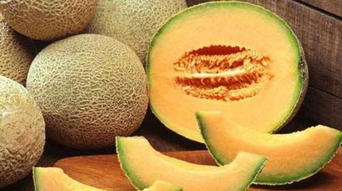 哥斯拉吃哈密瓜