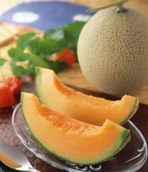 哥斯拉吃哈密瓜