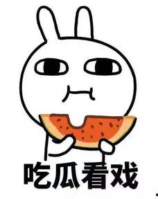 好无聊吃瓜,揭秘娱乐圈那些鲜为人知的幕后故事