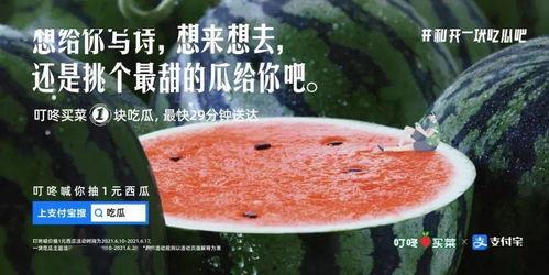 班级吃瓜文案,揭秘校园里的那些“瓜”