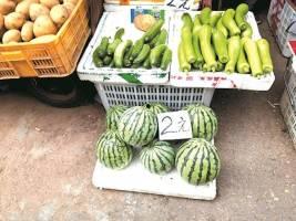 6元吃瓜群众,揭秘吃瓜群众的狂欢盛宴