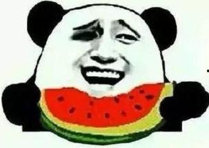 天涯 最萌吃瓜群众,揭秘网络热点的幕后故事