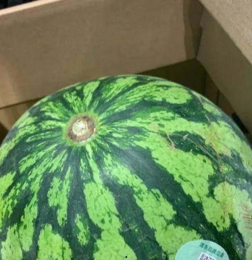 吃瓜群体名字大全集