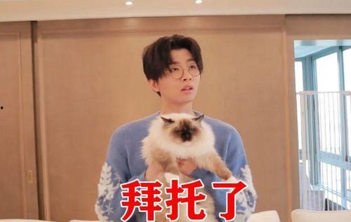 吃瓜漫迷,揭秘二次元世界的甜蜜与苦涩