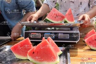 近期聊城吃瓜事件,一场网络舆论的风暴与反思