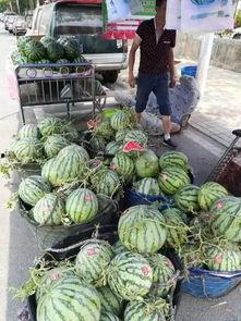 近期聊城吃瓜事件,一场网络舆论的风暴与反思