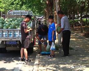 吃瓜群众看执勤,揭秘一线守护者的辛勤付出