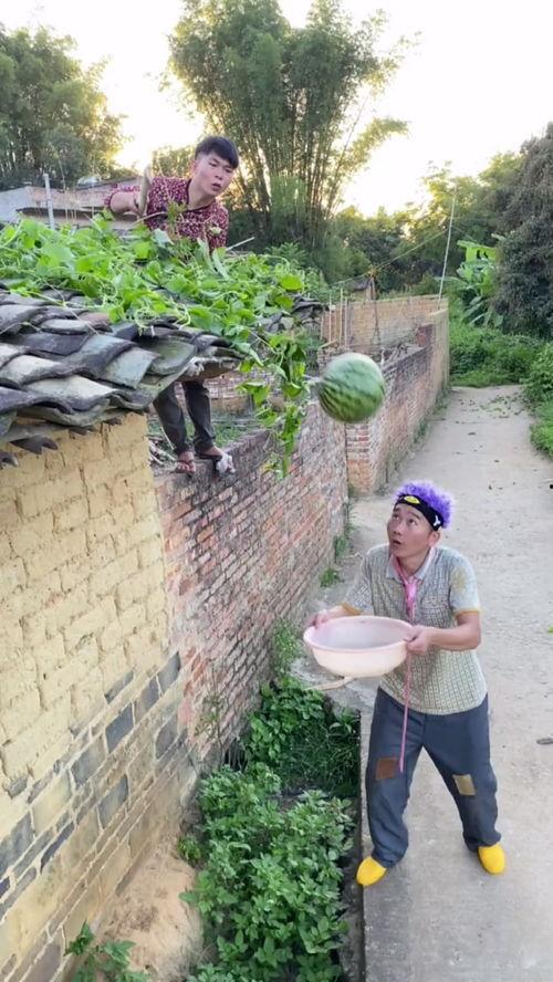 吃瓜原创缅北,吃瓜群众眼中的神秘地带