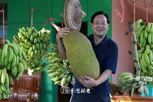 吃瓜原创缅北,吃瓜群众眼中的神秘地带