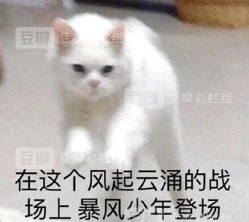 吃瓜理智,如何理性看待娱乐圈风云