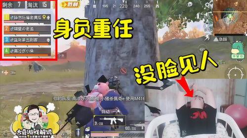 吃 瓜精英,网络时代下的舆论风向标