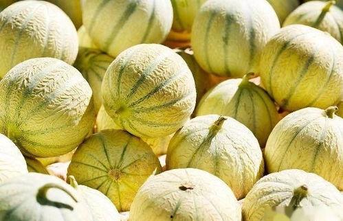 黄毛最新吃瓜,揭秘娱乐圈最新热点事件