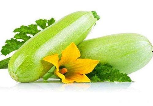 晚上吃白瓜减肥吗,揭秘夜间减肥新选择