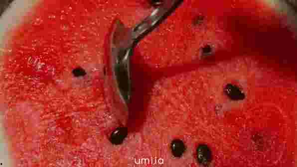 台湾人均吃瓜,人均吃瓜量揭秘