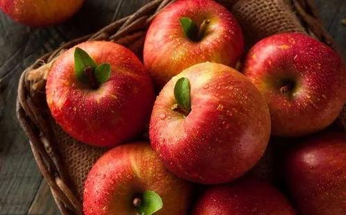 天长好多苹果吃瓜,苹果满园，瓜果飘香，共享丰收盛宴