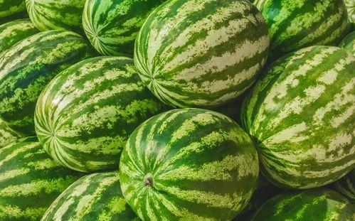 吃瓜福州博主,跟随吃瓜博主探寻美食与趣事