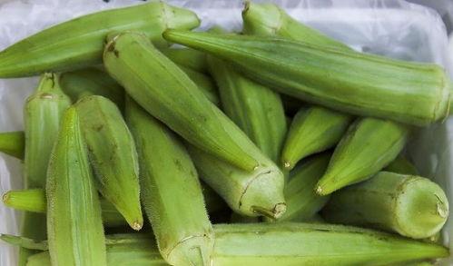 胃病可以吃瓠瓜,瓠瓜的养生功效与食用指南