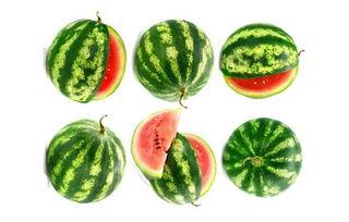 无限吃瓜4,揭秘娱乐圈背后的秘密风暴