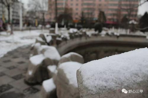 吃瓜群众运雪,一场别开生面的冬日奇遇