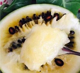 瓜晒干怎么吃,解锁夏日美味新境界